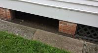 Foundation Repair Shelby Township image 4